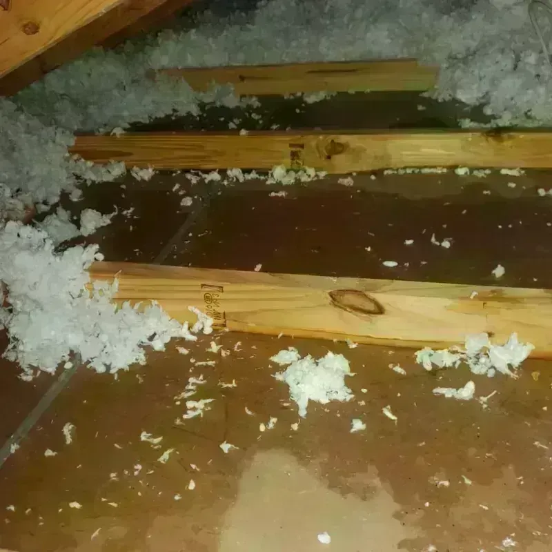 Attic Water Damage in DeLand, FL