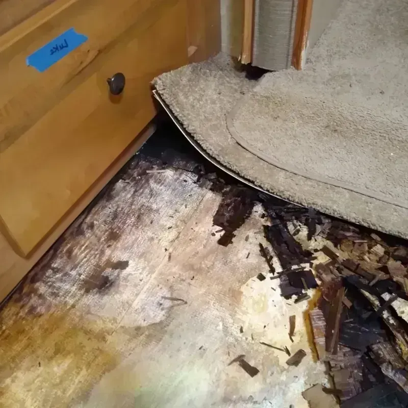 Wood Floor Water Damage in DeLand, FL